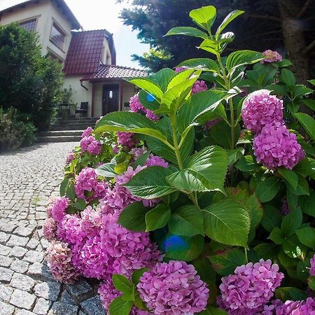 Villa Jasmin Zielona Gora  Luaran gambar