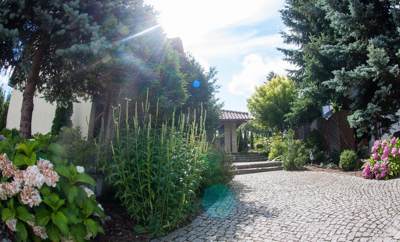 Villa Jasmin Zielona Gora  Luaran gambar