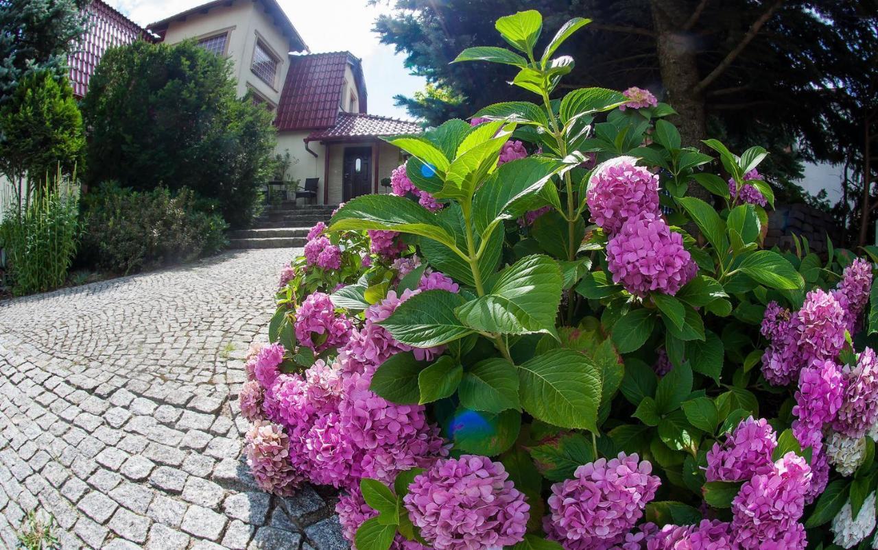 Villa Jasmin Zielona Gora  Luaran gambar